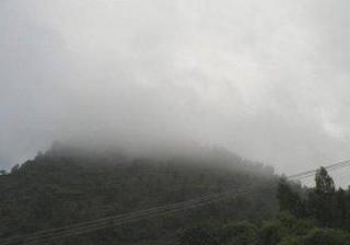 快速找到雨山区专业伺服电机维修店 (如何快速找到雨林?)