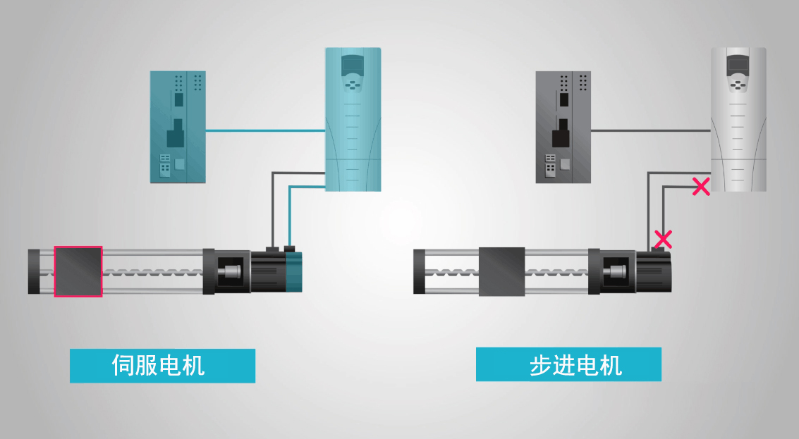 揭示其不断演变的功能