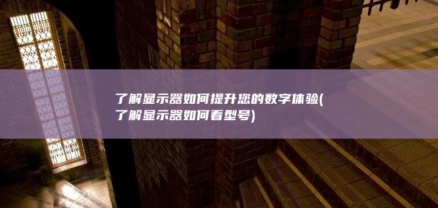 了解显示器如何提升您的数字体验 (了解显示器如何看型号)