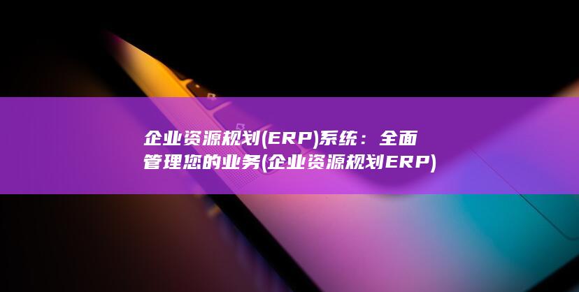 企业资源规划 (ERP) 系统：全面管理您的业务 (企业资源规划ERP)